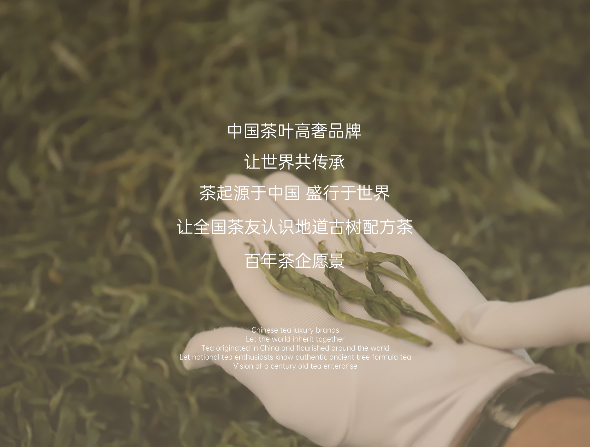 藏剑山庄品牌资料2023年第一版